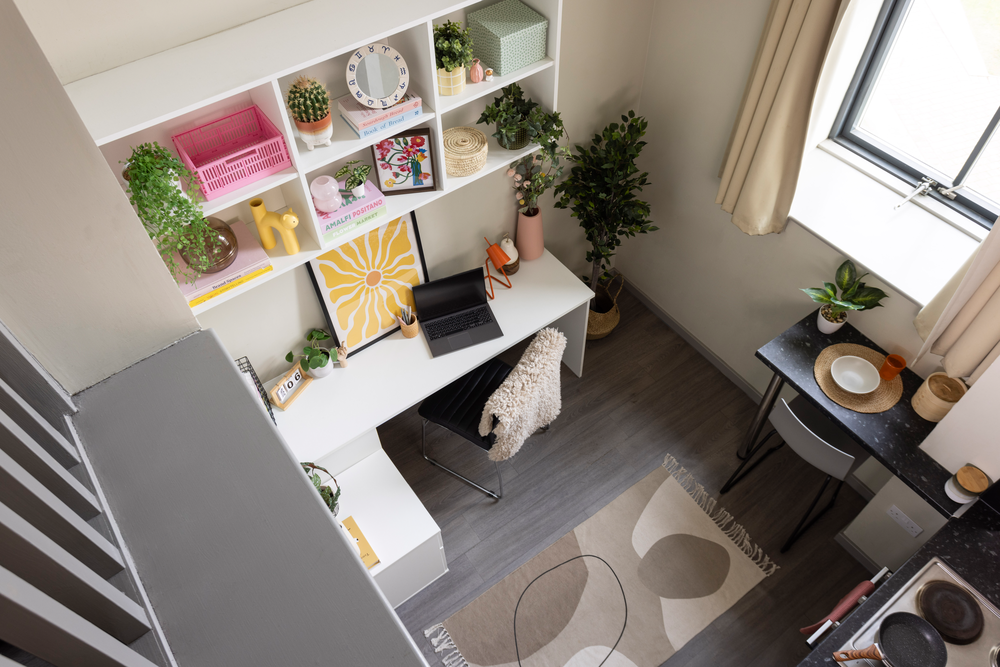  Classic Studio  -  Causeway View  - Gallery -  5