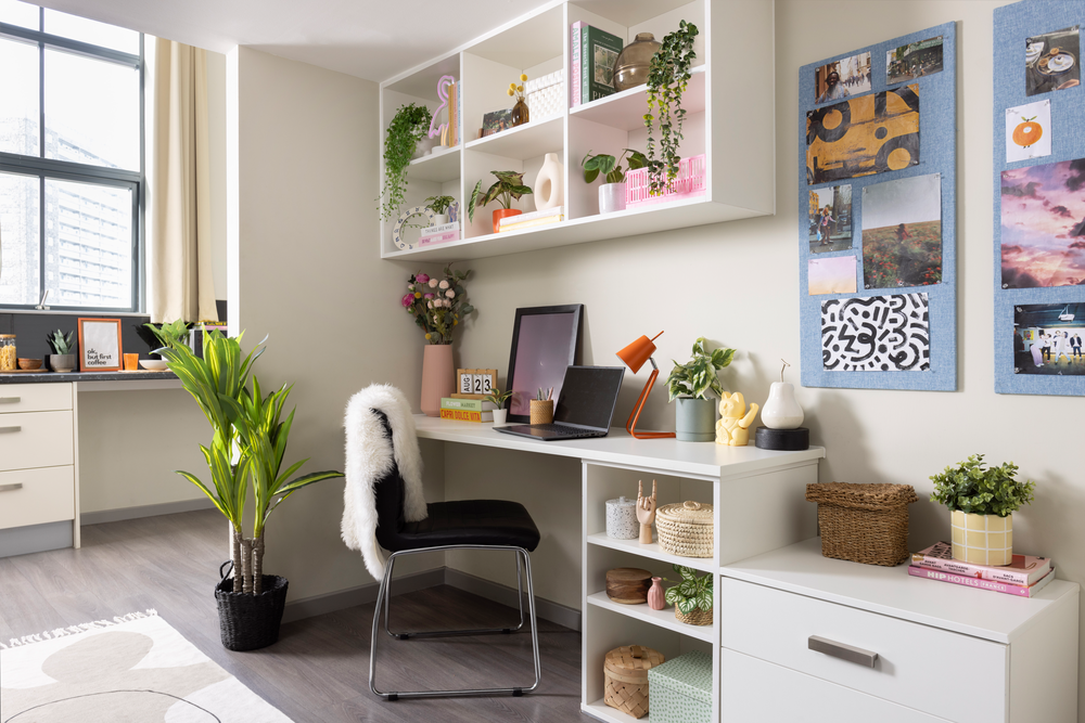  Premium Plus Studio  -  Causeway View  - Gallery -  5