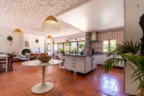 Spacious Twin bedroom, with private bathroom  - Gallery -  5