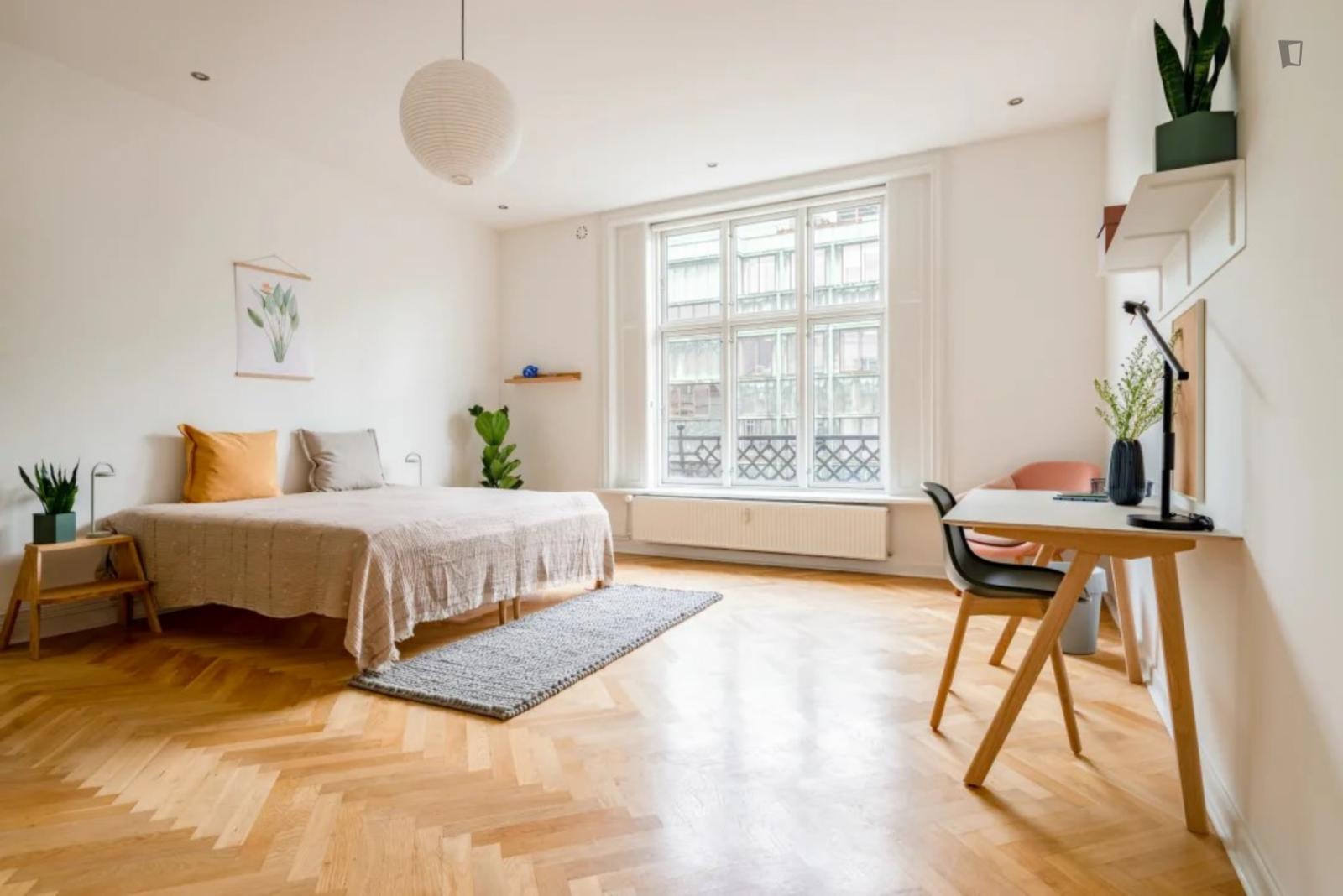  Grand Double Bedroom In Central Indre By  -  Grand double bedroom in central Indre By  - Gallery -  1