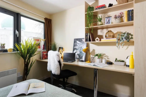 Curzon House - Gallery - 11