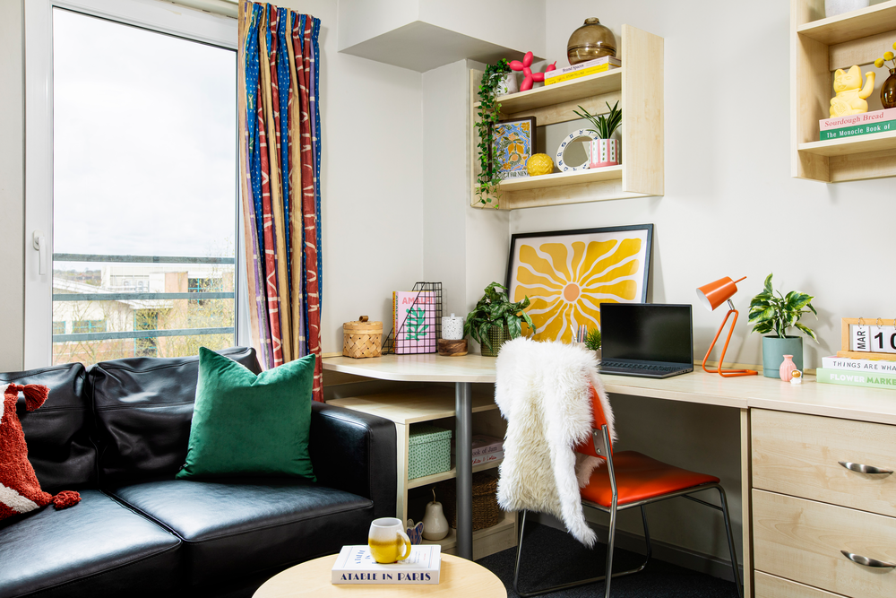  Classic Studio  -  Newarke Point  - Gallery -  8