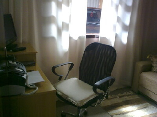 Family who love to meet people