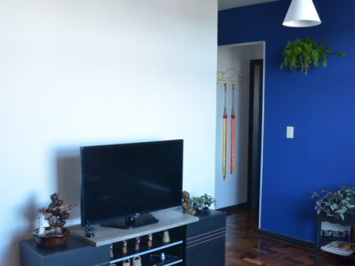 Sunny room in central Curitiba  - Gallery - 25