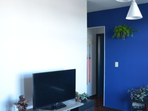 Sunny room in central Curitiba  - Gallery - 27