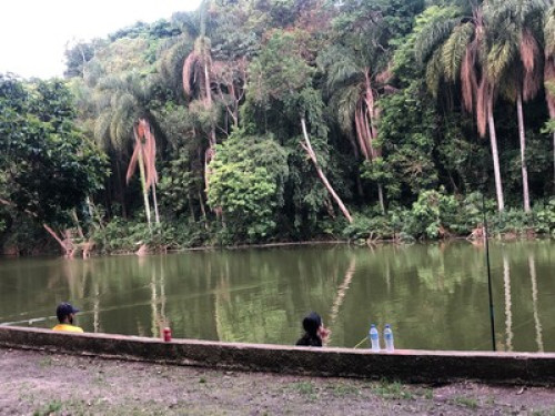 Room in the backyard 