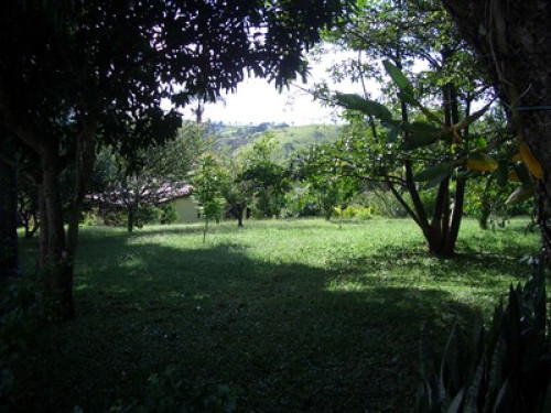 Adept at meditation - Gallery - 8
