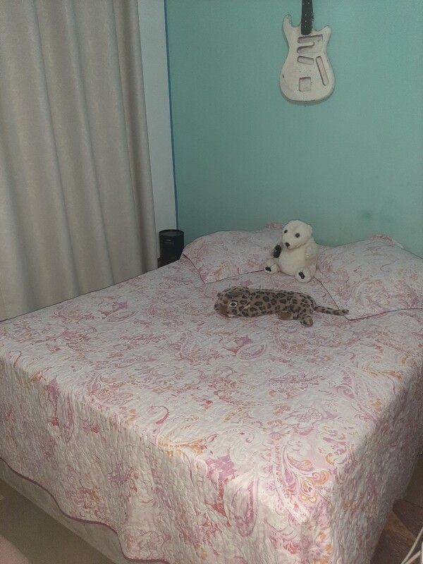 Guest Room(Single Bed) - Fresh air - Gallery - 1