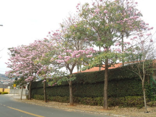 With panoramic views of the city.