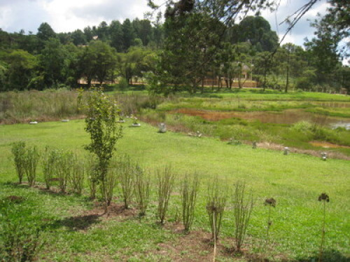 Nature lovers in your totalida - Gallery - 17
