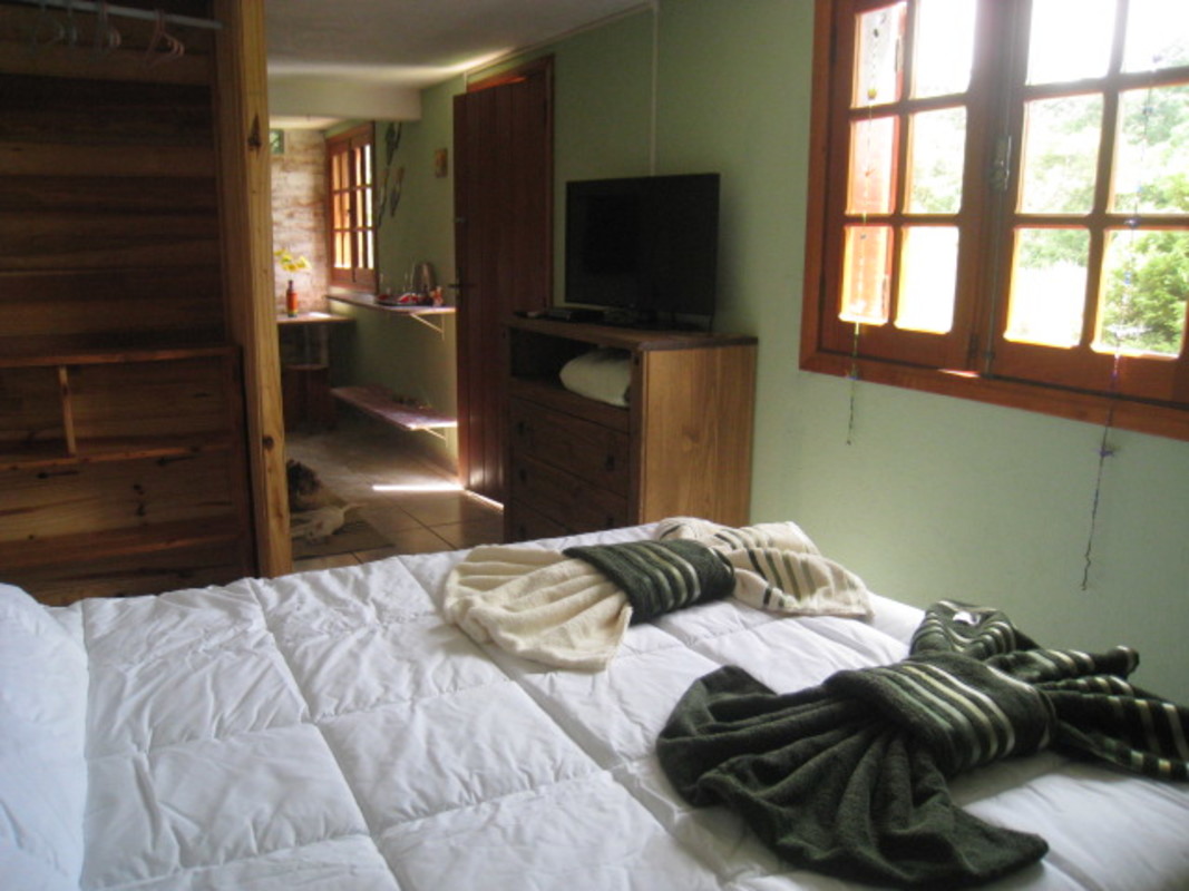  Apt-9(Single Bed)  -  Nature lovers in your totalida  - Gallery -  1