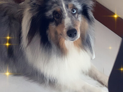 Room at Raul & Cicero's house