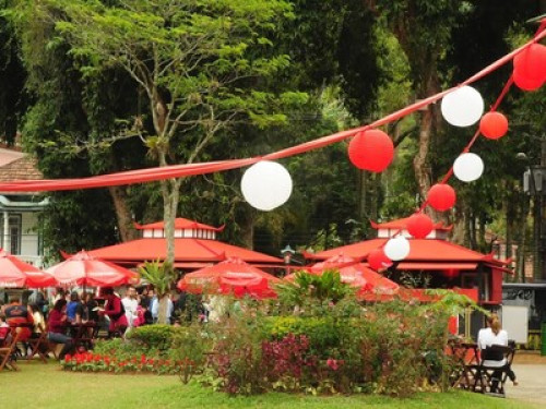 SIMPLISIDADE FRIENDSHIP ZEN