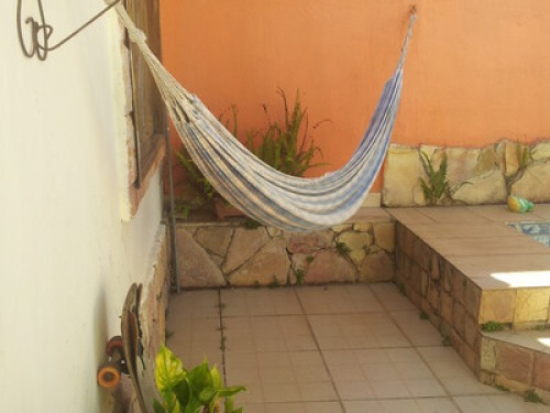 Lover of good conversation and tours  - Gallery -  5