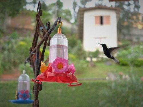 Homestay Teresópolis - Gallery - 18