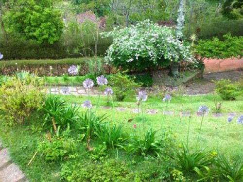 Pink and Green House - Gallery - 8