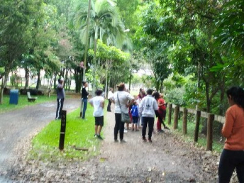 Incredible experience in Brazil