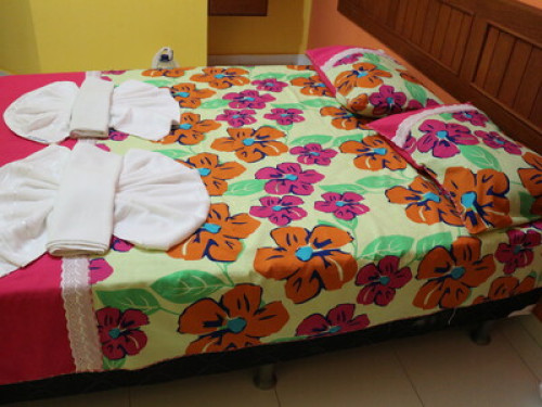 I like Beach in Porto Seguro, Bahia  - Gallery -  5