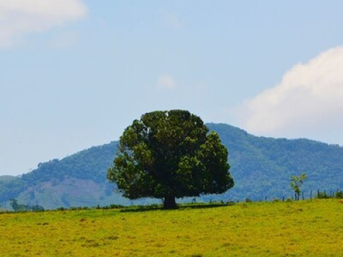 Ambiente - Gallery - 5