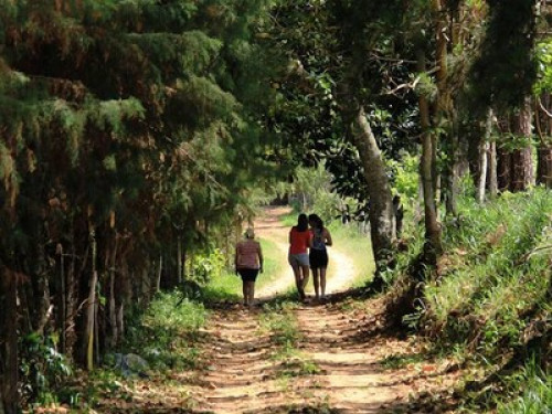 Ambiente - Gallery - 13