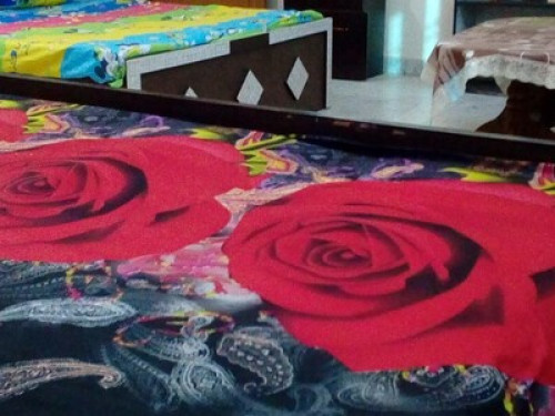 Geeta Home Stay  - Gallery -  5