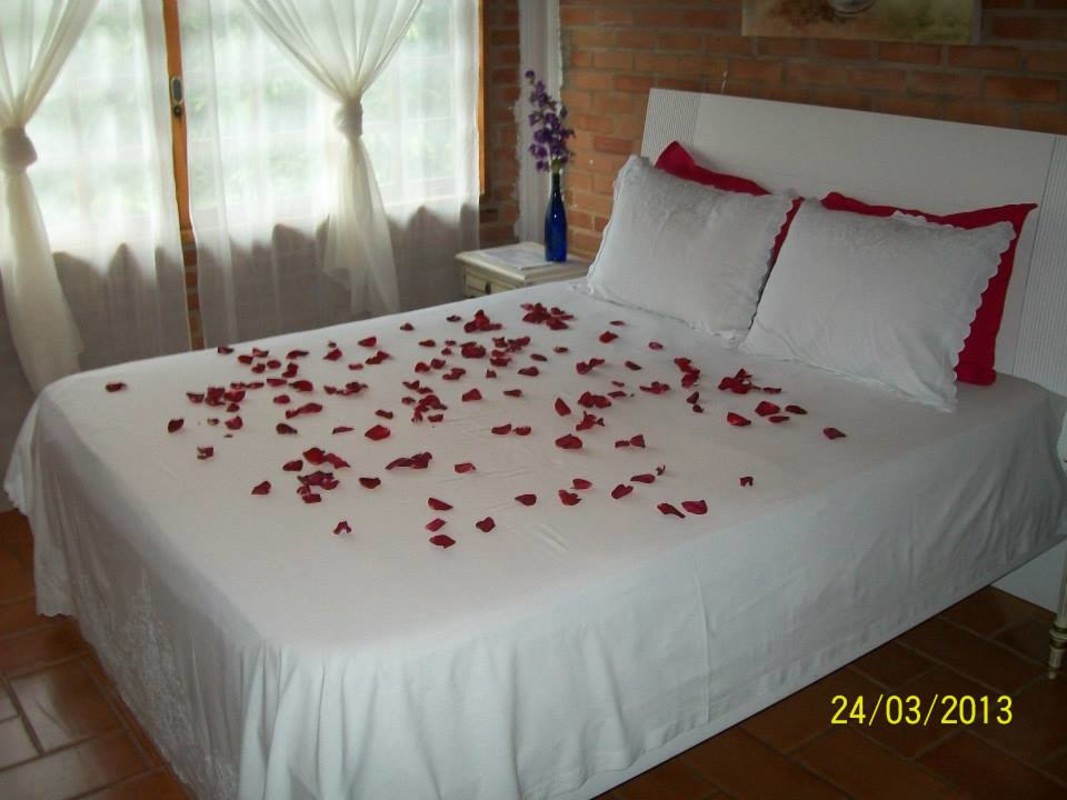  Suite Maned Wolf(Full Room)  -  Lovers of mountains and waterfalls  - Gallery -  1