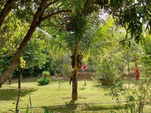 Kantim dos Tofa's - Gallery - 23