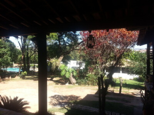 A small farm inside the city  - Gallery -  5