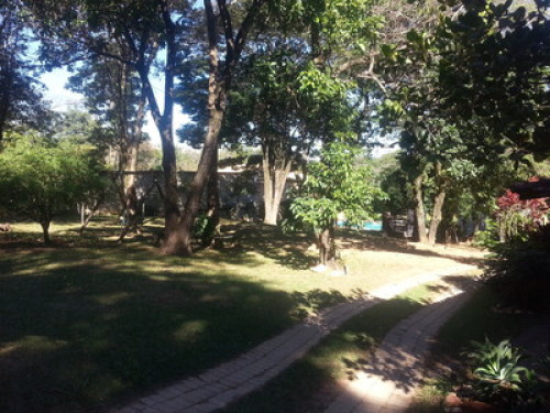 A small farm inside the city - Gallery - 6