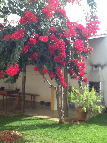 Fun and Individual photos