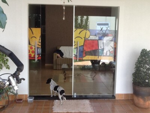 Fun and Individual photos