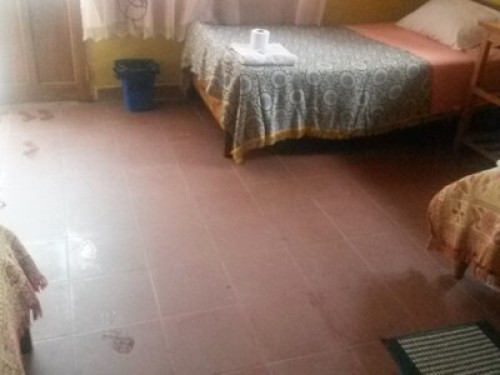 Homestay Jorge Sucre - Gallery - 30