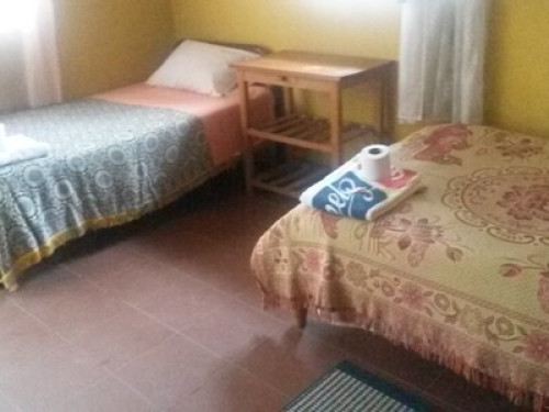 Homestay Jorge Sucre - Gallery - 31