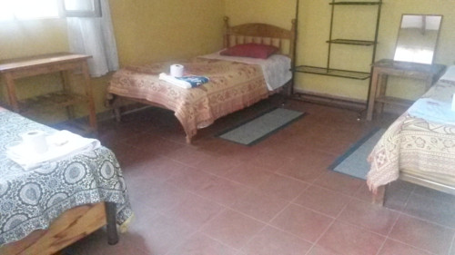 Homestay Jorge Sucre - Gallery - 16