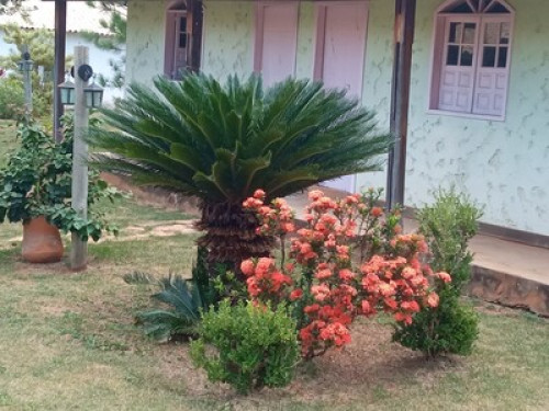 culture, nature and health
