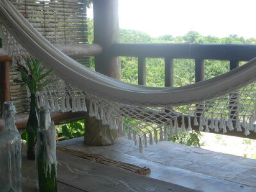 At home in paradise   - Gallery -  5