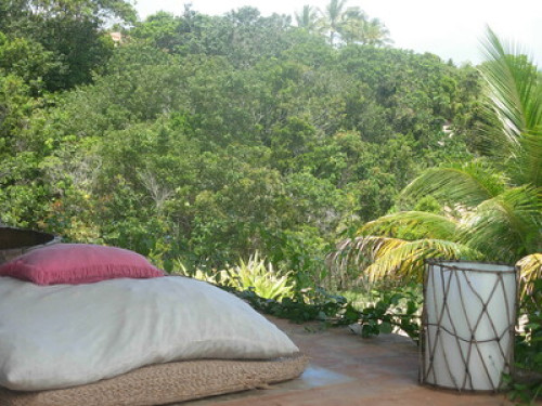 At home in paradise 