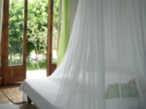 At home in paradise  - Gallery - 8