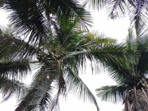 Quarto Centro Trancoso - Gallery - 9