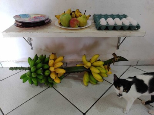 Quarto Centro Trancoso - Gallery - 14