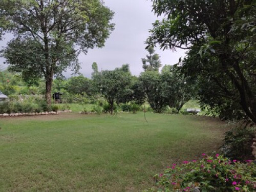 Lumbini Grove