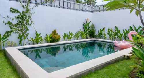 Vibrant Coliving Villa in Canggu: Work, Surf & Connect in Bali's Tropical Paradise