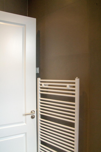 Beautiful 1-bedroom apartment with a great balcony, in the centre of Haarlem