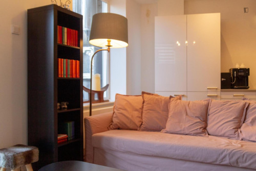 Appealing 1-bedroom apartment in the heart of Haarlem