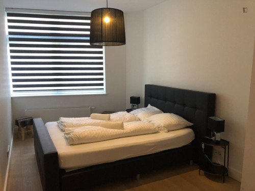 Appealing 1-bedroom apartment in the heart of Haarlem