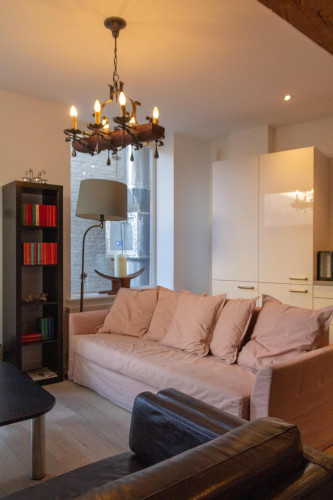 Appealing 1-bedroom apartment in the heart of Haarlem