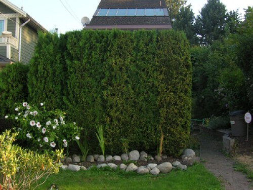 spacious room in a great location!