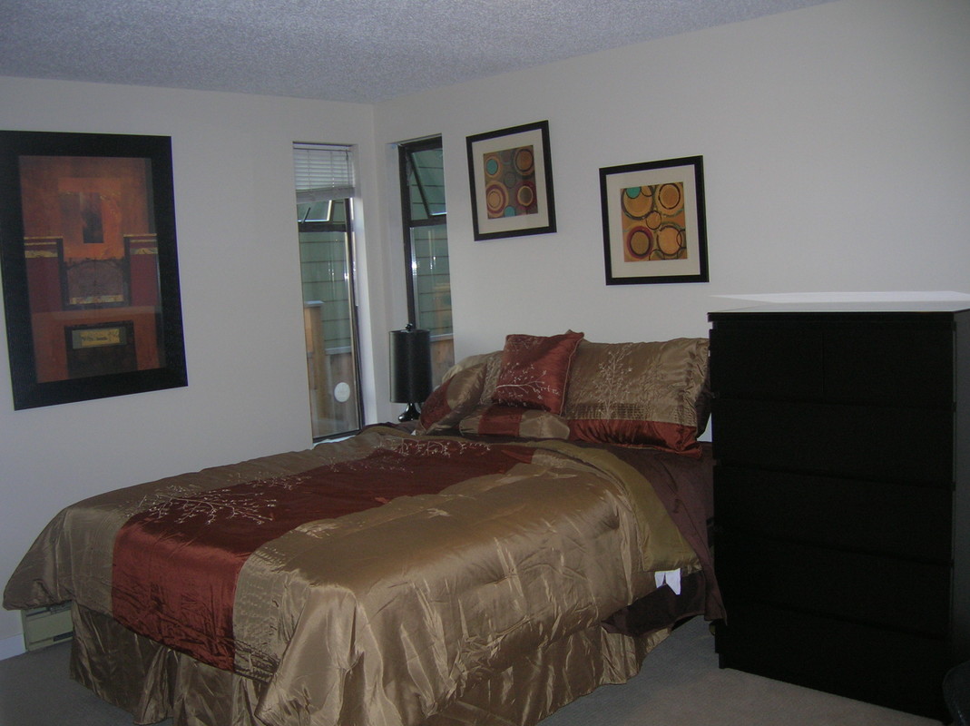 Large Bedroom - 2 Closets(Full Room) - 1