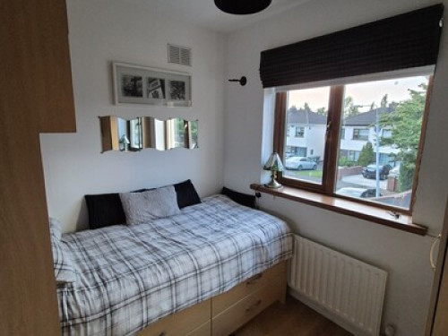 Single Room - Gallery - 9