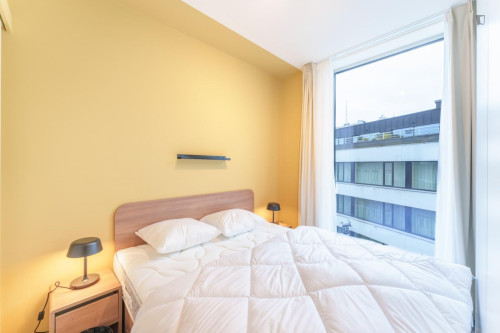 Comfy studio near Anvers-Central train station